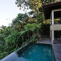 Impressive Prestige Property with Best Views to the Ayung River Valley – Freehold 42 Are — photo 5