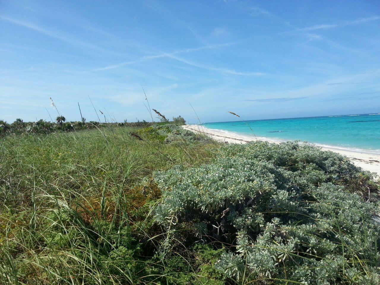 Apartment for sale at CAMPERDOWN BEACH in Cat Island, The Bahamas — photo 2