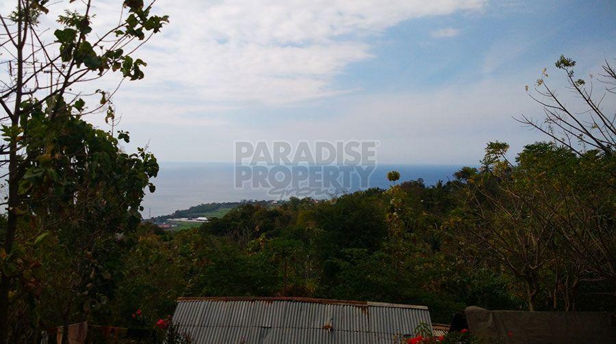 Amazing 49 Are Freehold Land with WOW View in Lovina — photo 2