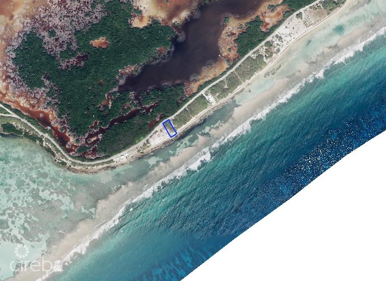 Beachfront Land Little Cayman — photo 4