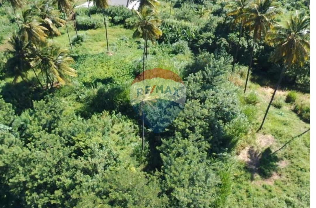 BEAUTIFUL PENNISTON HALF ACRE LOT — photo 4