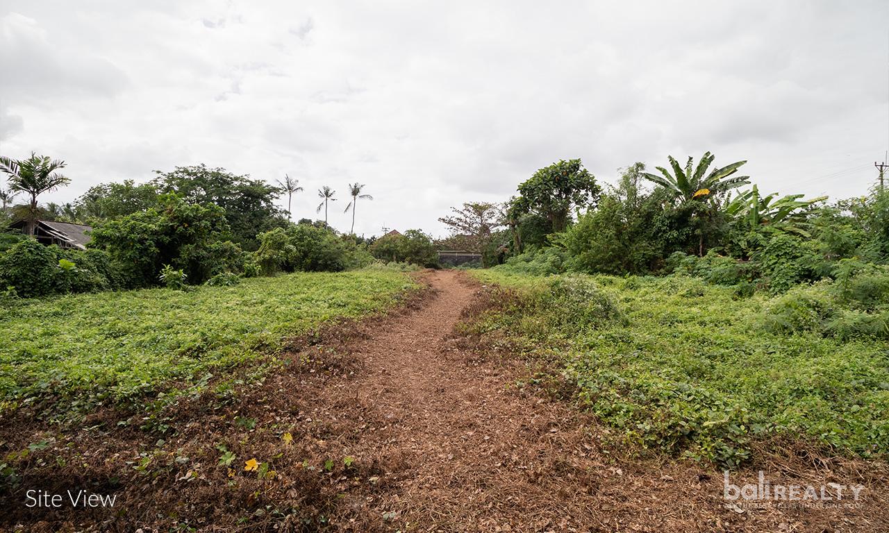 Ready to build 20 – 30 are freehold land with scenic nature views in Cepaka — photo 3