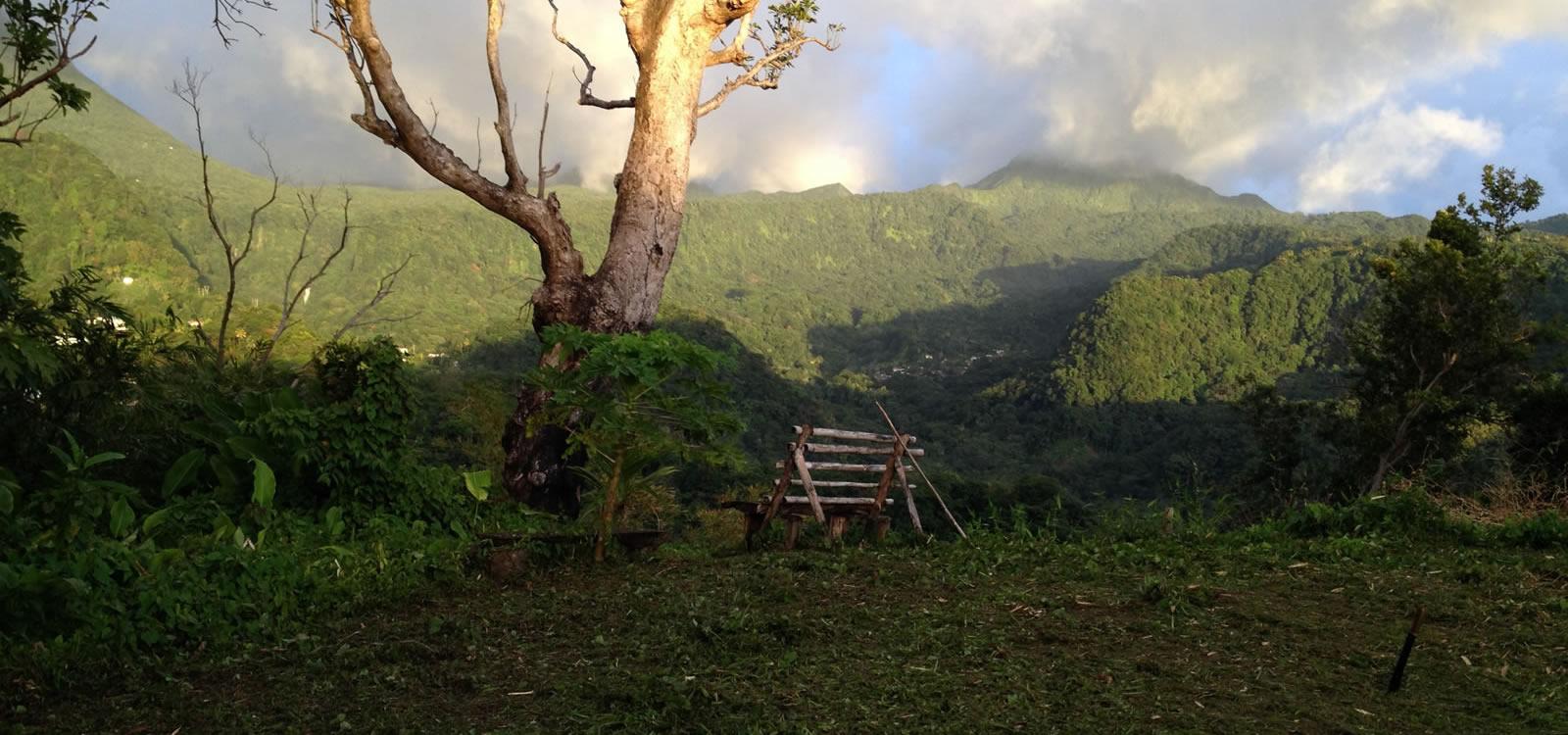 126 Acres of Land for Sale in Dominica — photo 1
