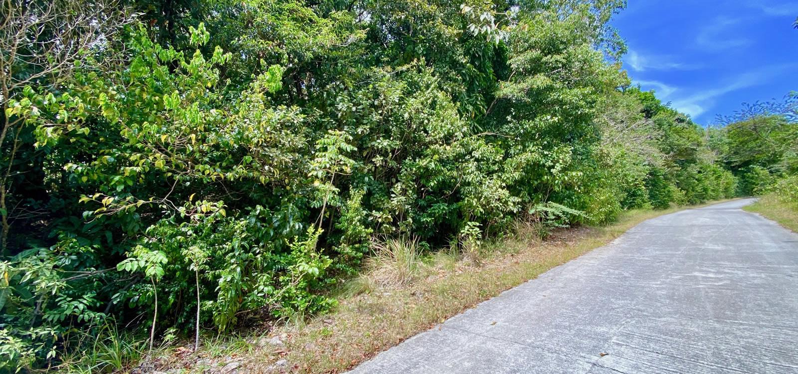 1 Acre Lot for Sale, Upper Fern Hill, Nevis — photo 3