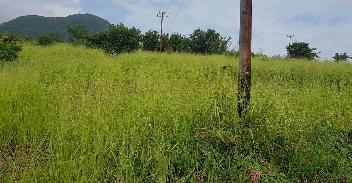 5 Acres of Development Land for Sale, Palmetto Bay, St Kitts — photo 4