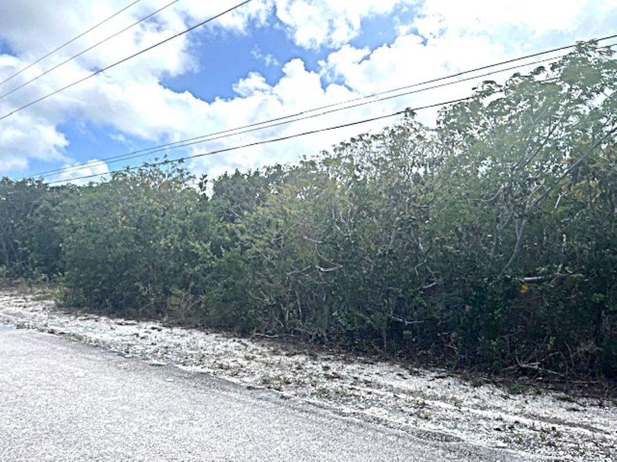 QUEEN’S HIGHWAY, MILEY — photo 1