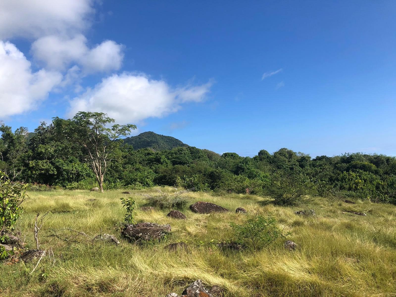 14 Acres Development Land in Gingerland, Nevis — photo 1