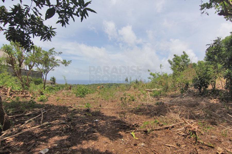 2.14 Hectare Freehold Land with Breathtaking Views — photo 5