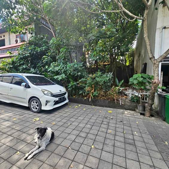 Studio apartment in Denpasar — photo 1