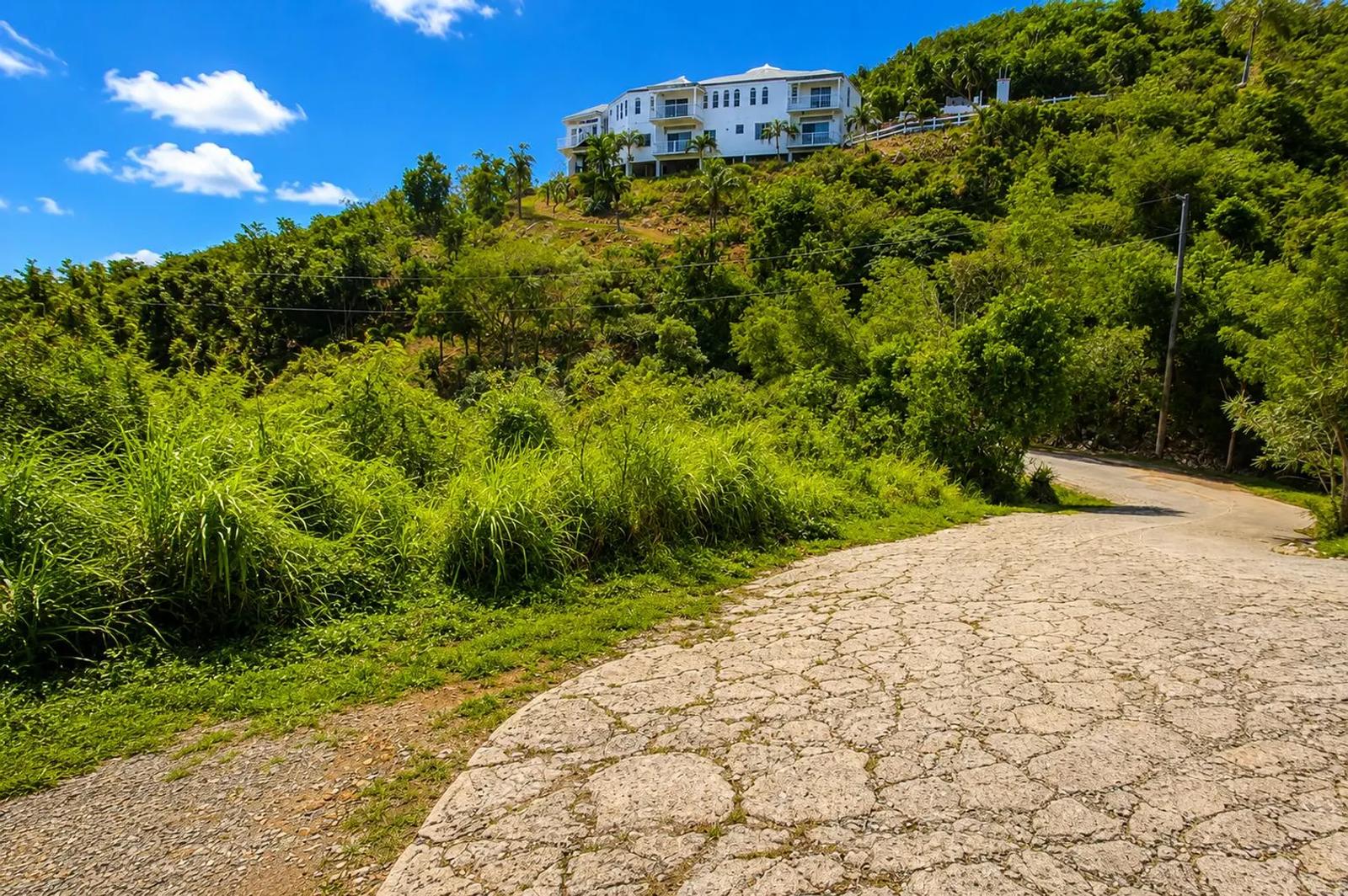 0.66 Acre Homesite in Frenchmans Bay with Ocean View — photo 4