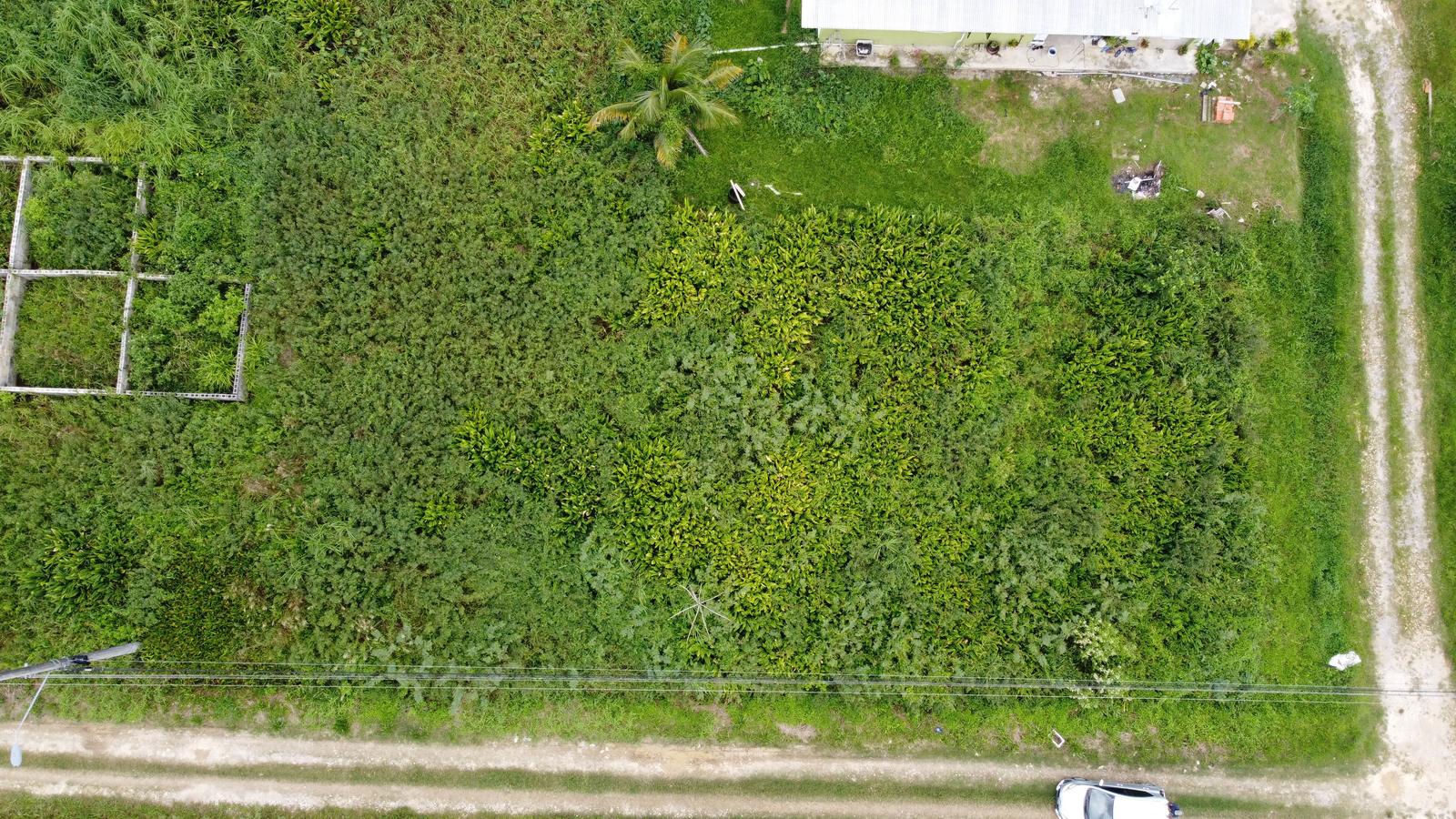 Residential Land for Sale in Sangre Grande — photo 5