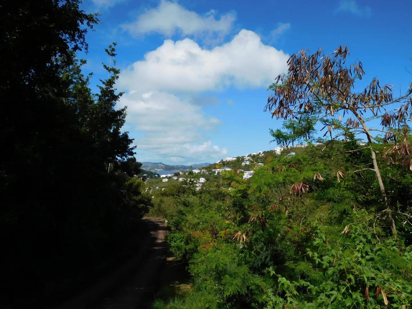 0.56 Acre Lot in Virgin Grand Estates — photo 4