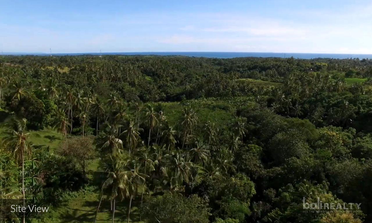 Prime Investment Potential: 2,5 hectare for Glamping Business with Scenic Views Near Balian Beach, Tabanan — photo 3