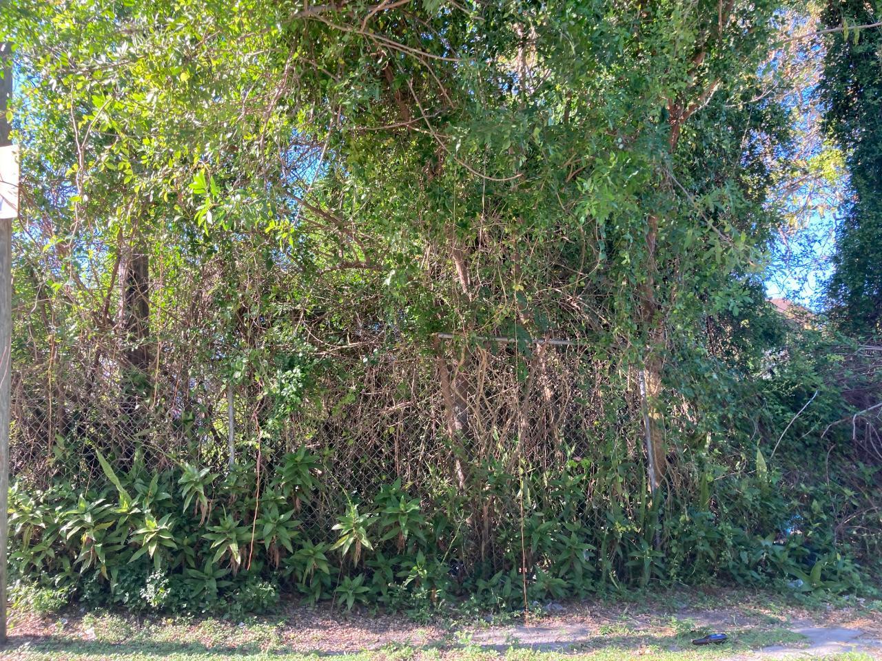 7 WINDERMERE DRIVE — photo 4