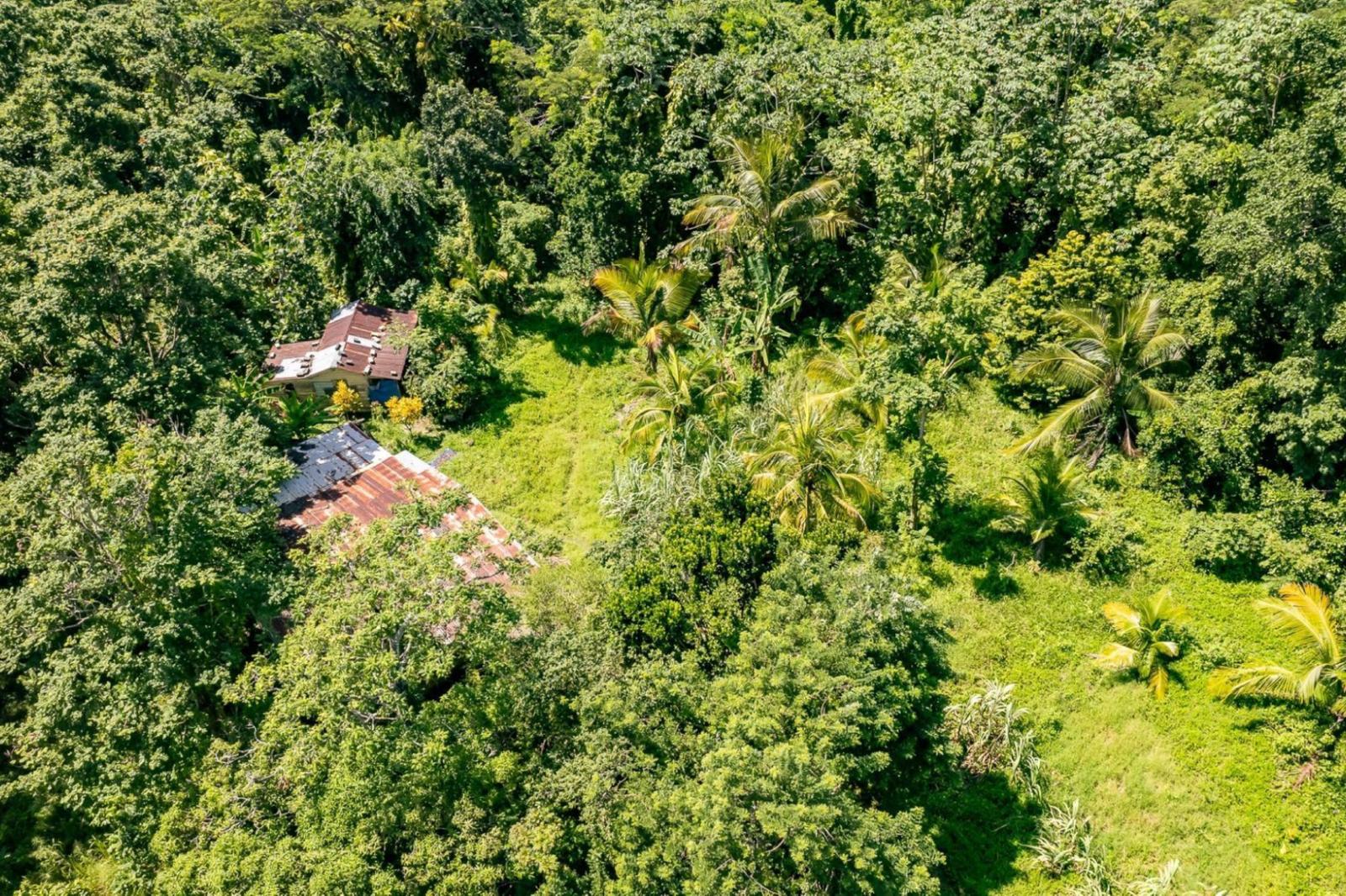 101 Acres of Land for Sale, Union Pen, Saint Mary, Jamaica — photo 4