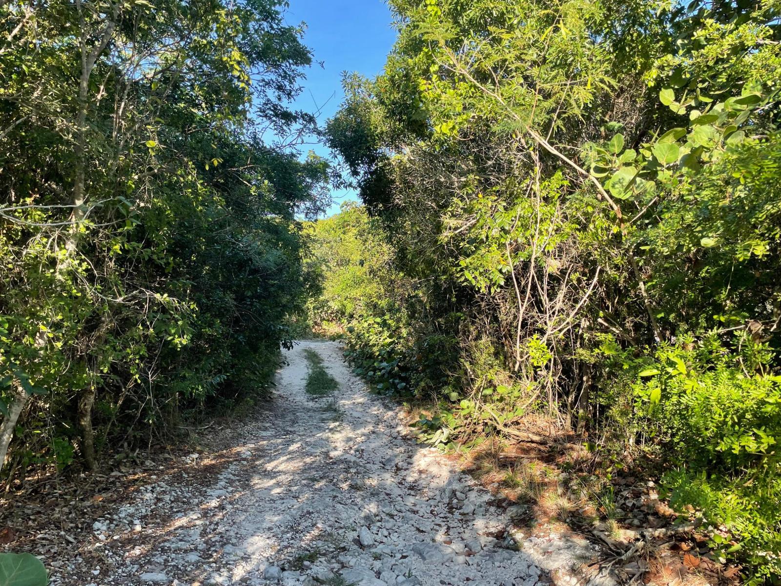 ELEUTHERA ISLAND SHORES — photo 3