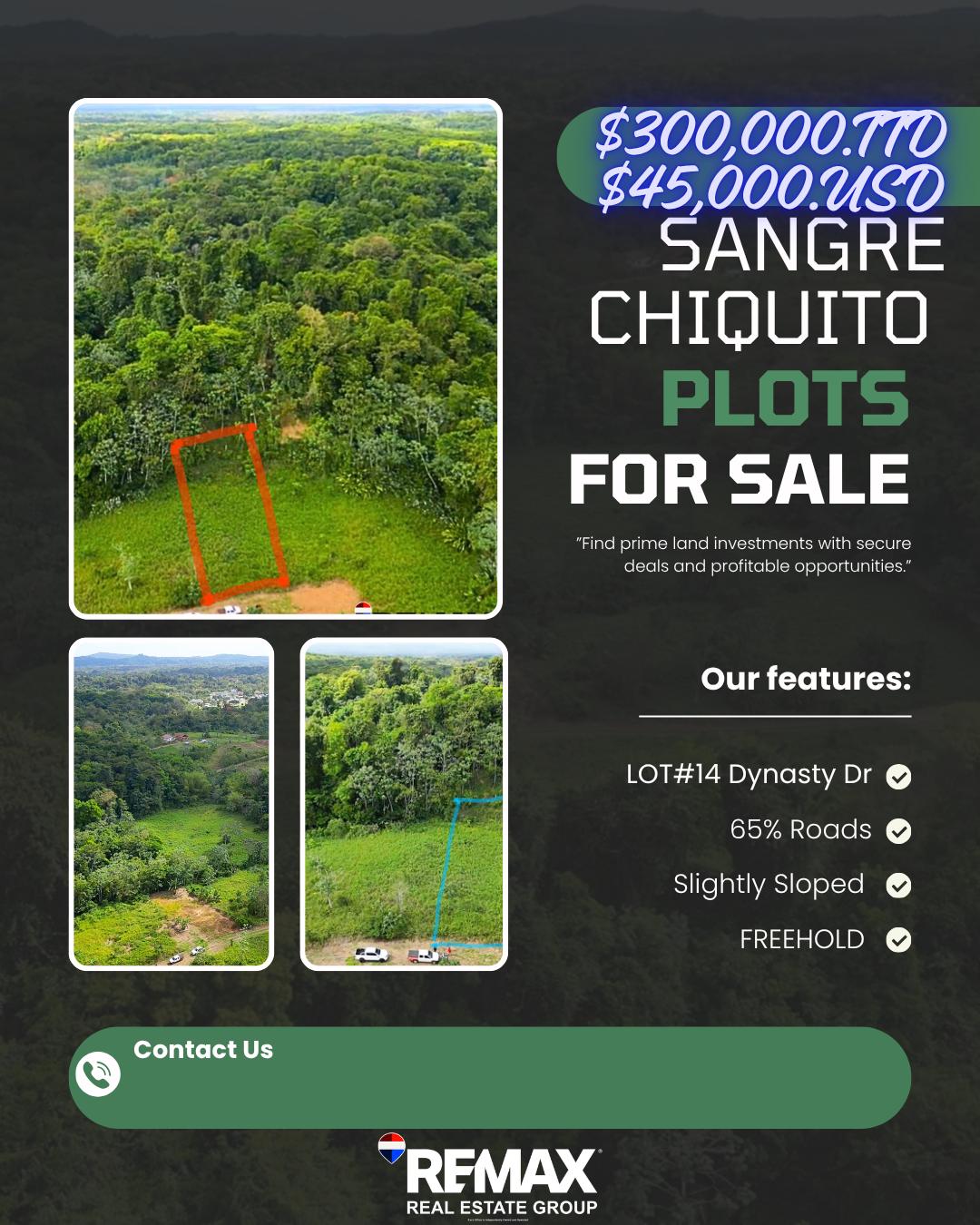 Sangre Grande Chiquito Lot #14 — photo 4