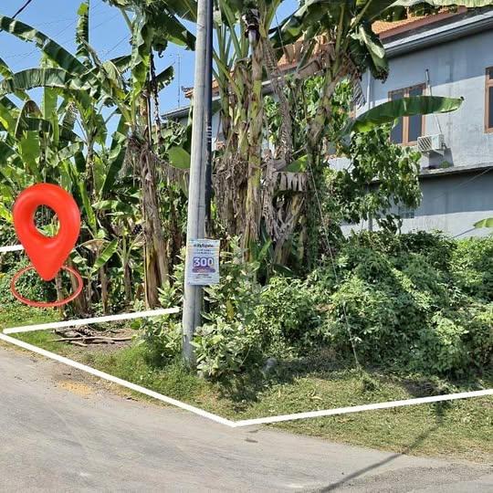 Land in Denpasar — photo 1