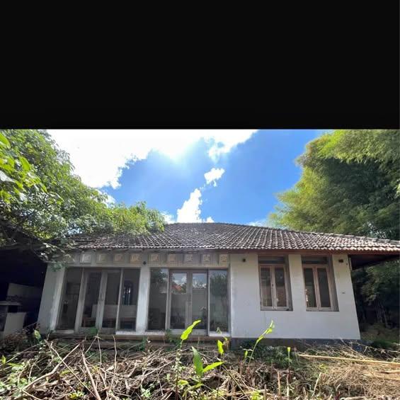 1-bedroom villa in Ubud — photo 1