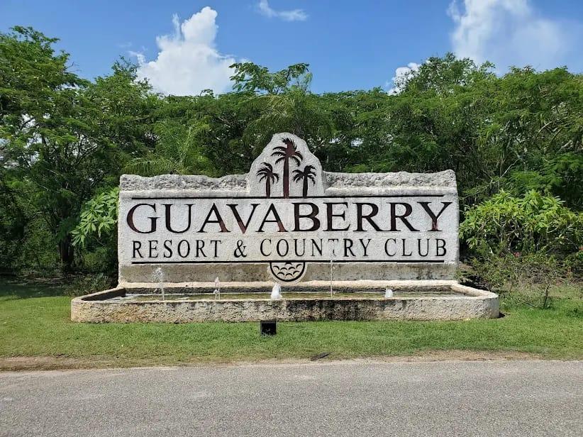Guavaberry Golf & Country Club 0.10 Acre Lot — photo 2