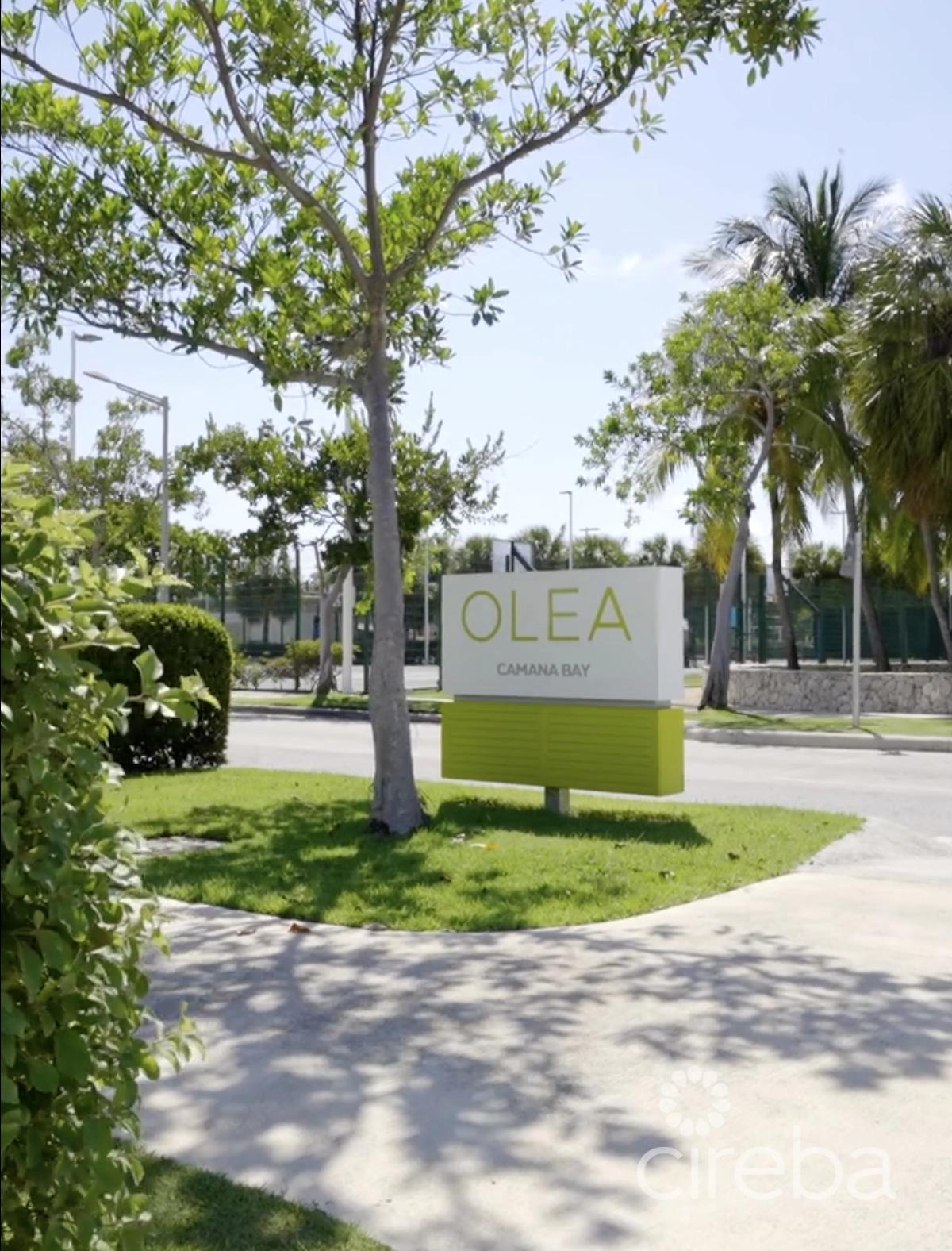 Olea 335 Penthouse (3-bedroom) in the Cayman Islands — photo 1