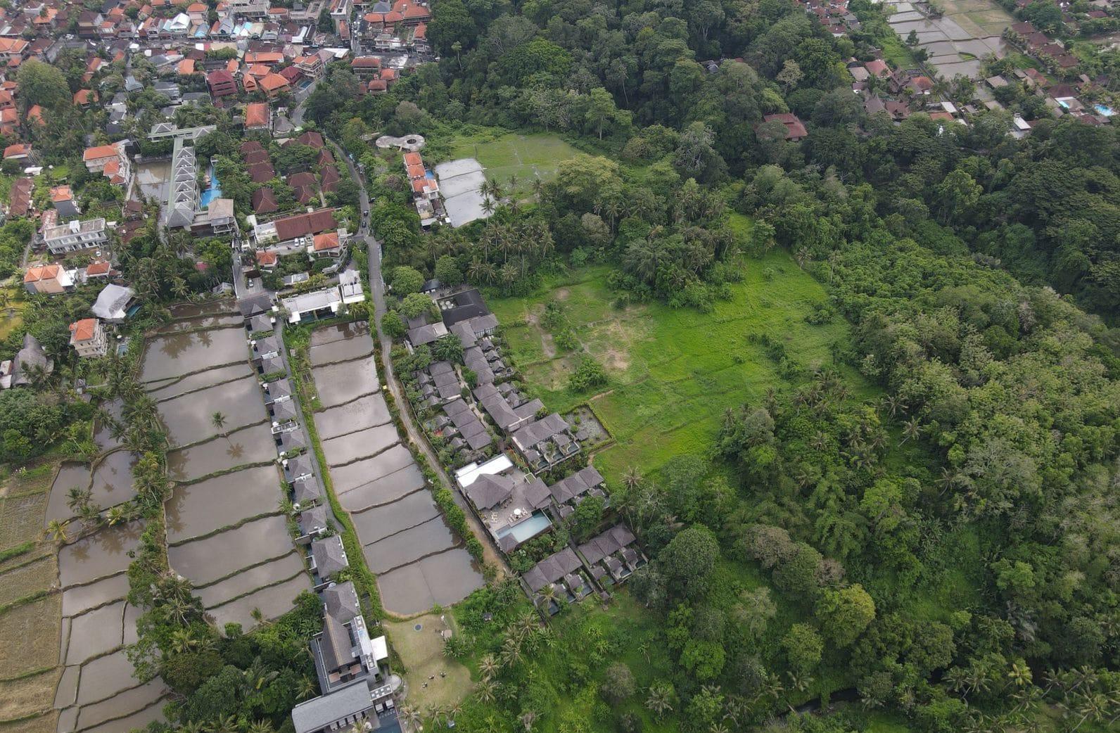 1 Hectare Land in Central Ubud – Prime Development Opportunity — photo 2