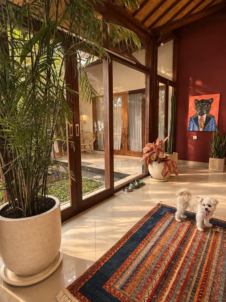 3-bedroom villa in Umalas, Canggu — photo 5