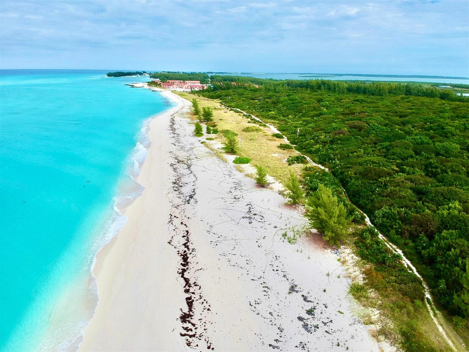 BIMINI 179 ACRE PARCEL — photo 3