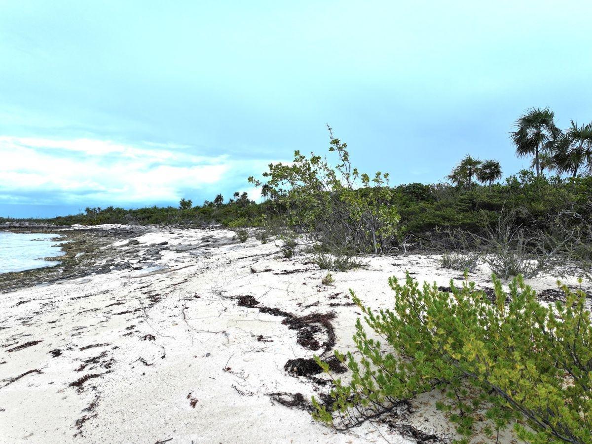 Gold Ring Cay Private Island in Exuma, The Bahamas — photo 3