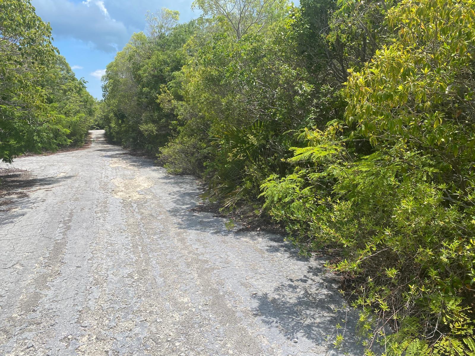 Stella Maris Serene Hilltop 0.33 Acre Lot — photo 5