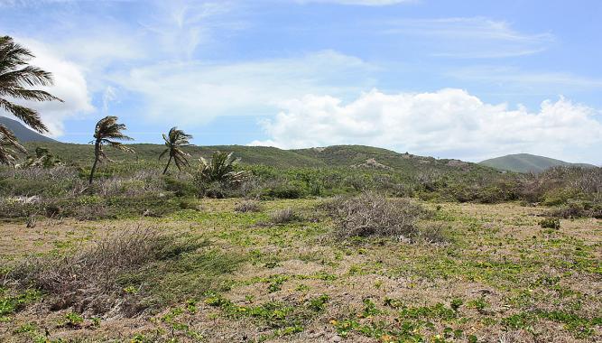 5 Acres Oceanfront Land for Sale, St James, Nevis — photo 5