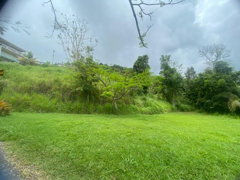 Bo. Masas, Gurabo — photo 3