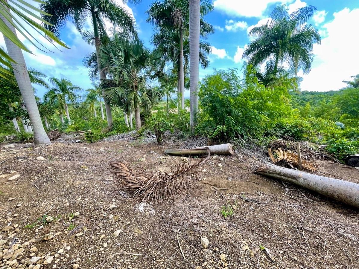 Exceptional Ocean View Land for Sale – Sosúa, Dominican Republic — photo 4