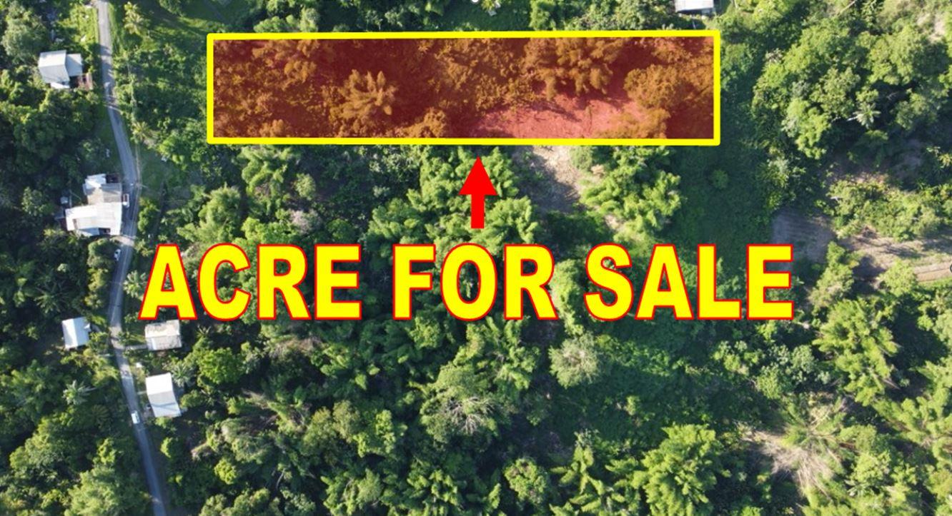 1 Acre of Rio Claro Agricultural land For Sale — photo 1
