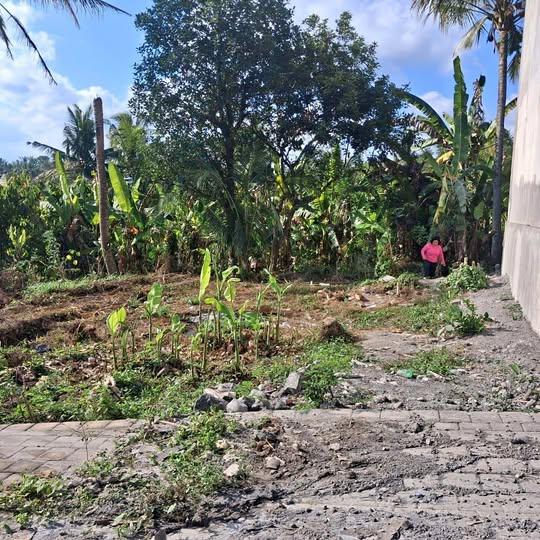 Land in Badung, Bali, Indonesia — photo 1