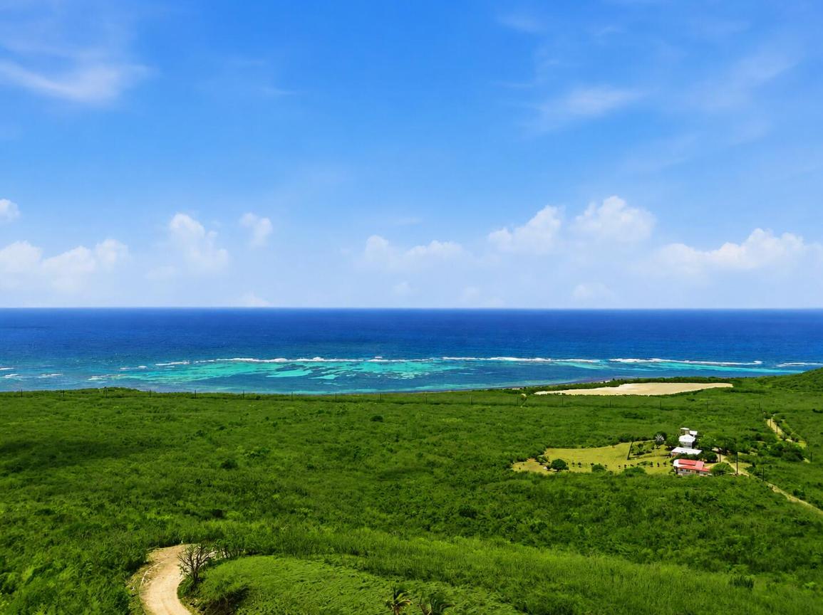 5 Bedroom House in St. Croix, US Virgin Islands — photo 5