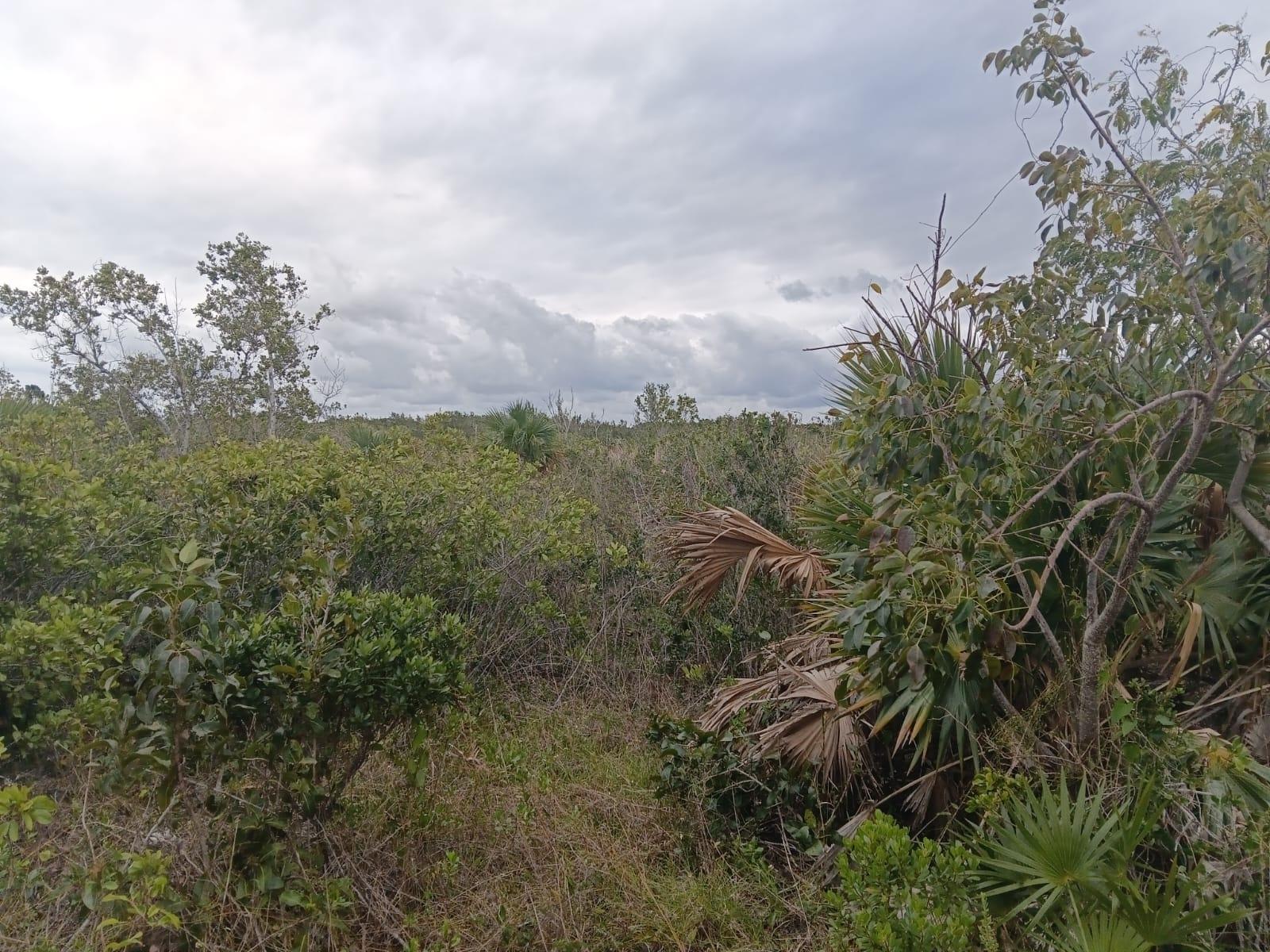 BUCCANEER BEACH — photo 4