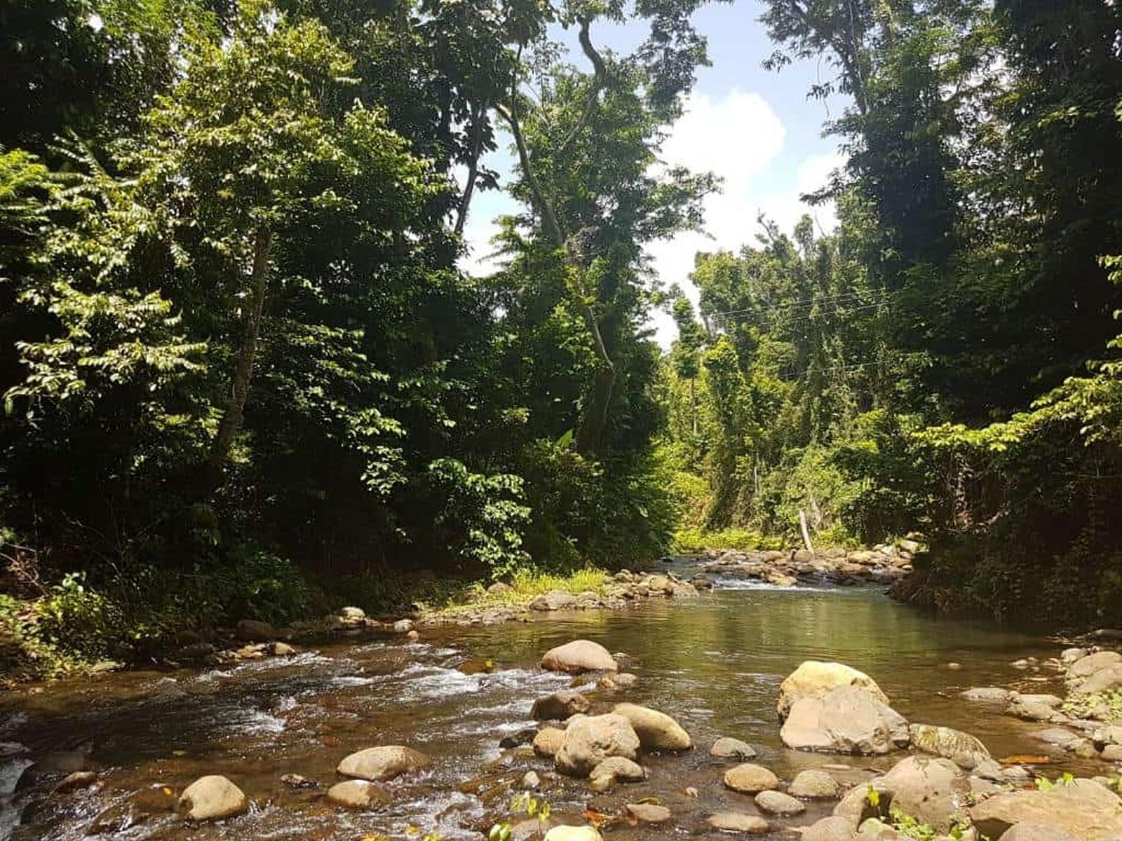 10 Acres of Land for Sale, Calibishie, Dominica — photo 3