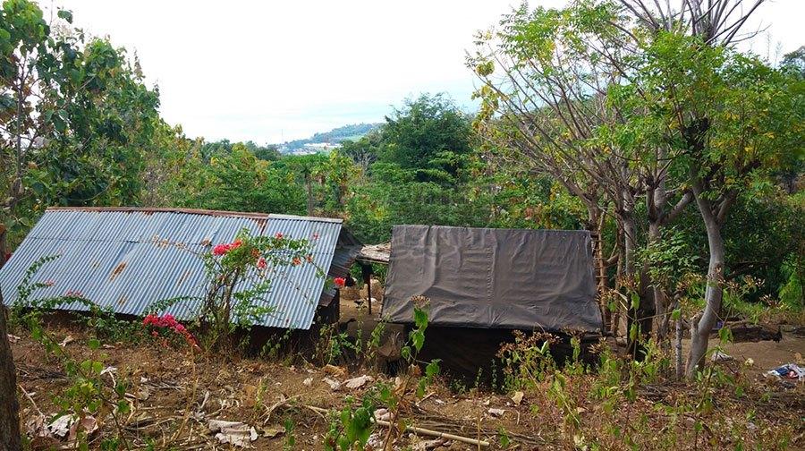 Amazing 49 Are Freehold Land with WOW View in Lovina — photo 3