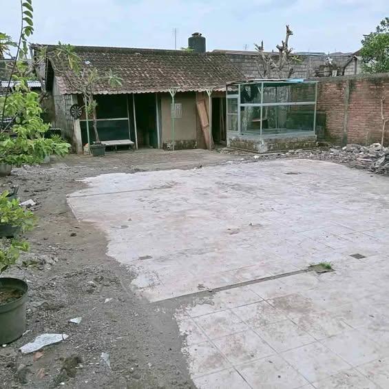 Studio house in Denpasar — photo 1
