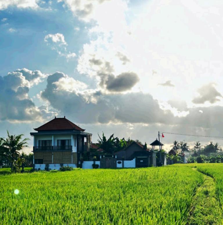 3 Bedroom Villa for Sale in Sayan, Ubud — photo 3
