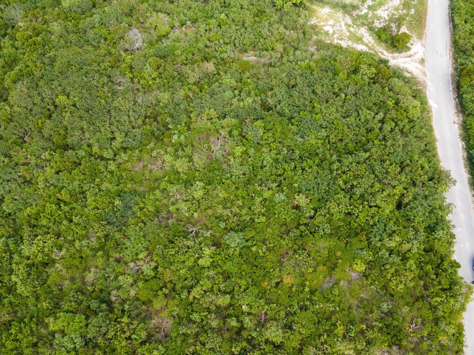 SCRUB HILL — photo 2