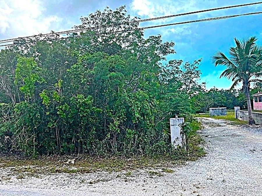 2 Acre Parcel — photo 4
