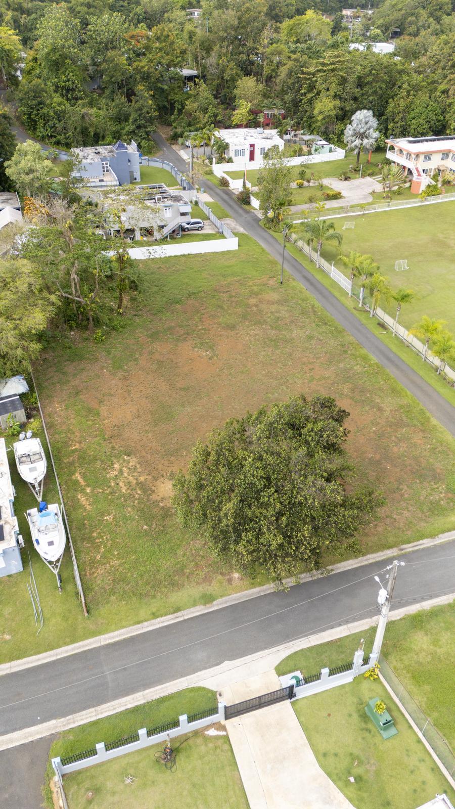 Big Land in Dorado available for sale! — photo 5