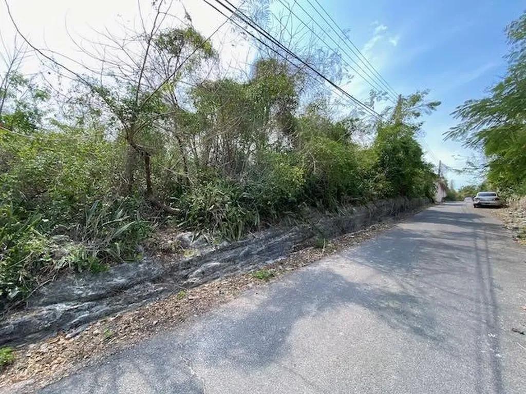 Over 11,000 sq ft land plot in Nassau — photo 2