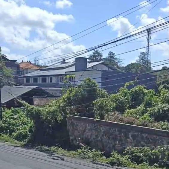 Studio house in Denpasar — photo 1