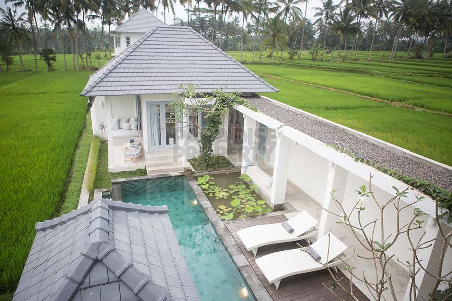 Stylish Tropical Villa with Stunning Rice Field Views – 10 Minutes North of Ubud — photo 1