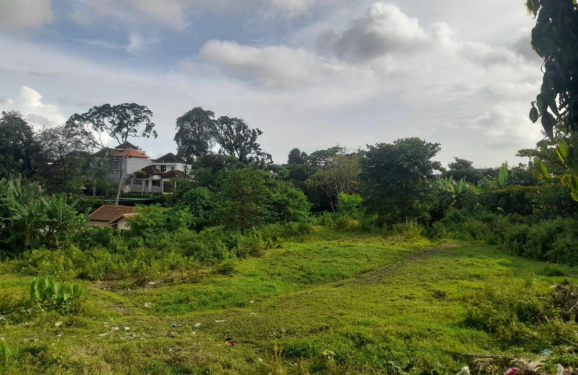 2,230 sqm Padonan Land Ideal for Residence or Villa Complex in Canggu, Bali, Indonesia — photo 1