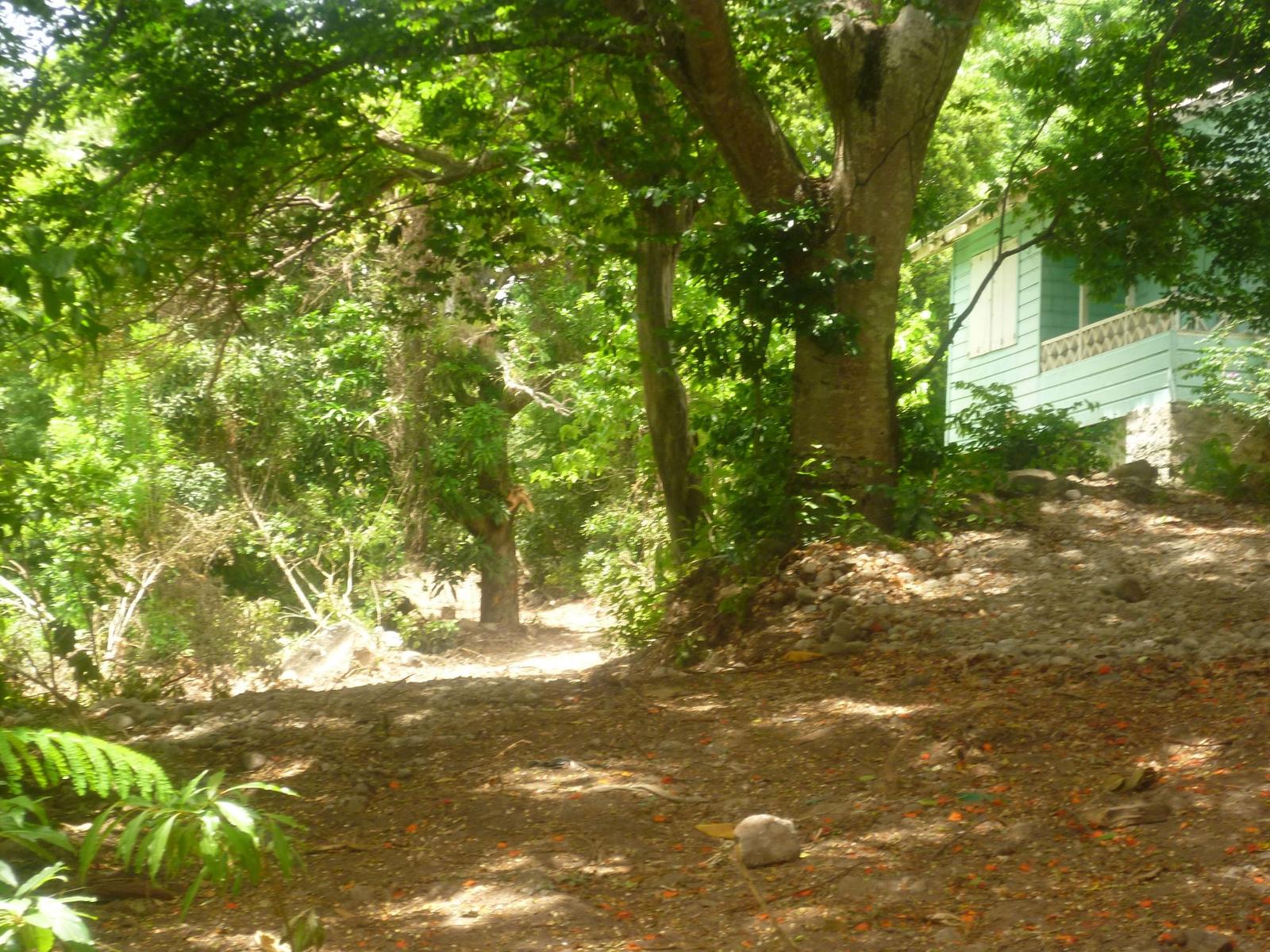 Tranquil Luxury Land Parcels in Anse Verdue, Saint Lucia — photo 5
