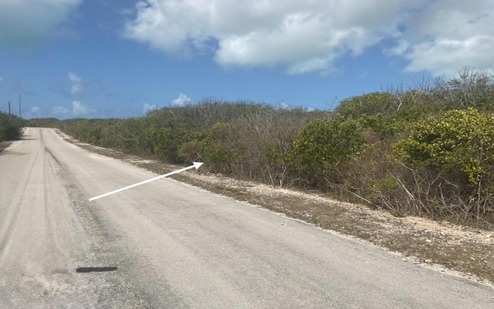 Scrub Hill Lot — photo 4